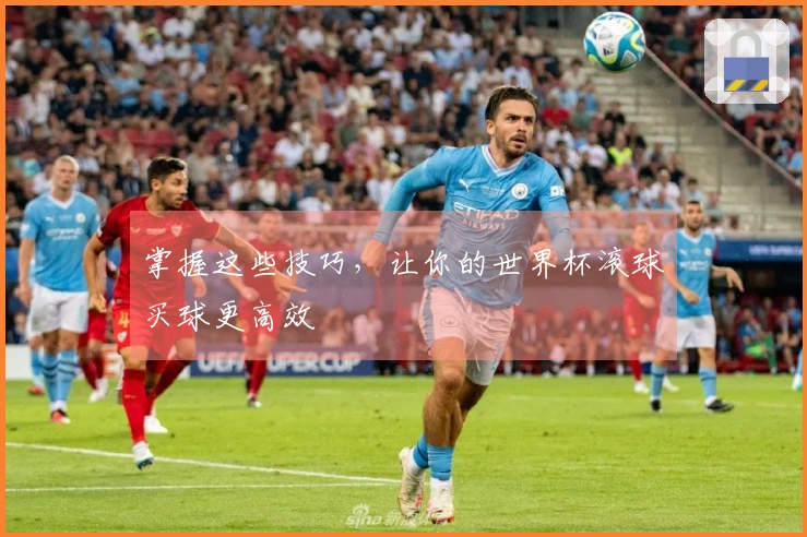 掌握这些技巧，让你的世界杯滚球买球更高效