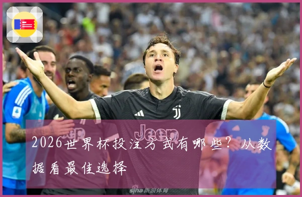 2026世界杯投注方式有哪些？从数据看最佳选择
