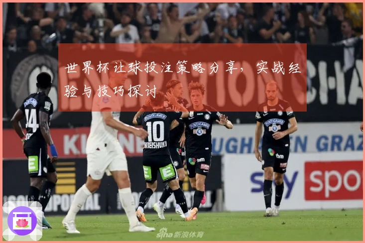 世界杯让球投注策略分享，实战经验与技巧探讨