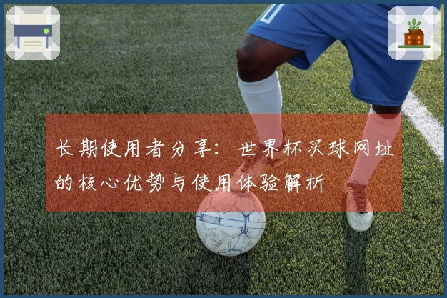 长期使用者分享：世界杯买球网址的核心优势与使用体验解析