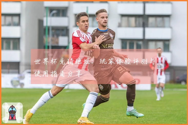 世界杯竞猜地址：玩家体验评测与使用指南分享