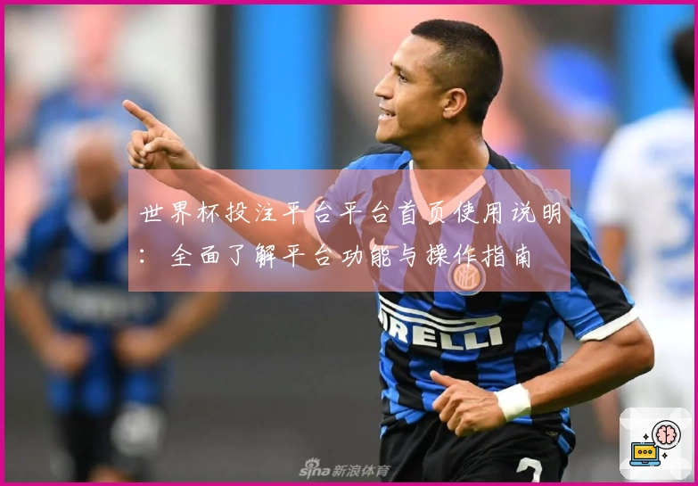 世界杯投注平台平台首页使用说明：全面了解平台功能与操作指南