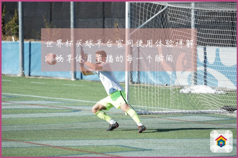 世界杯买球平台官网使用体验详解：畅享体育直播的每一个瞬间