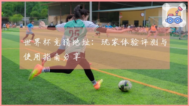 世界杯竞猜地址：玩家体验评测与使用指南分享