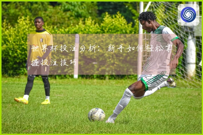 世界杯投注分析:新手如何轻松掌握投注技巧