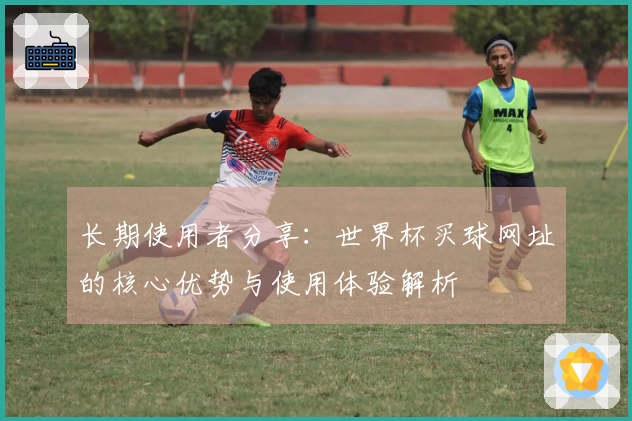 长期使用者分享：世界杯买球网址的核心优势与使用体验解析