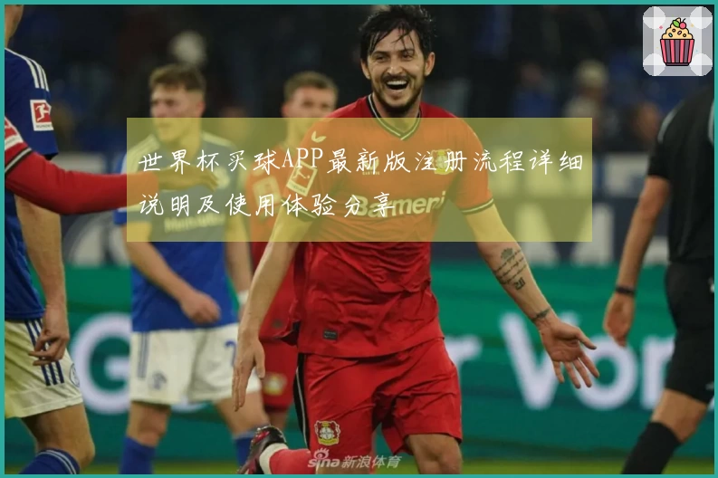 世界杯买球APP最新版注册流程详细说明及使用体验分享