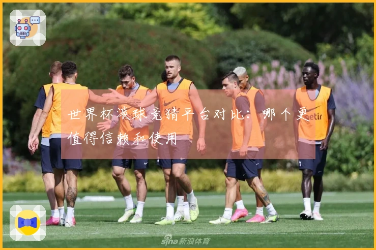 世界杯滚球竞猜平台对比：哪个更值得信赖和使用