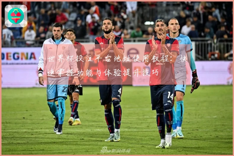 世界杯投注平台地址使用教程：快速掌握功能与体验提升技巧